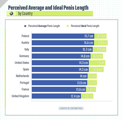 Average Penis Size Porn